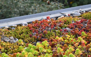 the cost of Auchindrain green roof installation