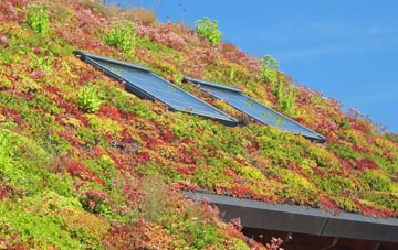 Auchindrain living roof systems
